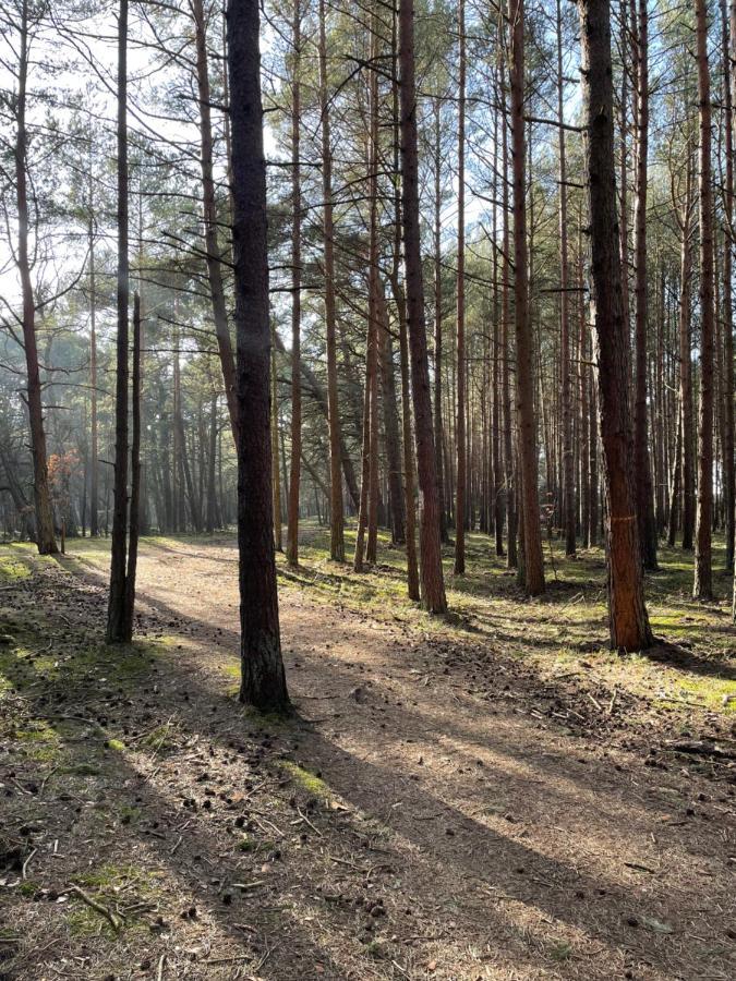 Sunset Resort Apartament Dziesiatka Przy Plazy Grzybowo  Buitenkant foto